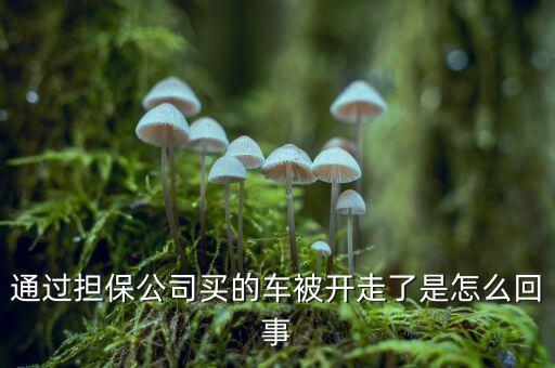 擔(dān)保公司為什么跑，這是擔(dān)保公司又跑一個的節(jié)奏嗎 求證實