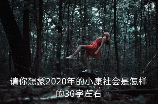 請(qǐng)你想象2020年的小康社會(huì)是怎樣的30字左右