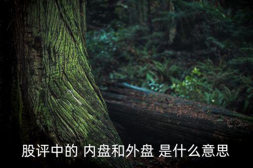 股評(píng)中的 內(nèi)盤和外盤 是什么意思