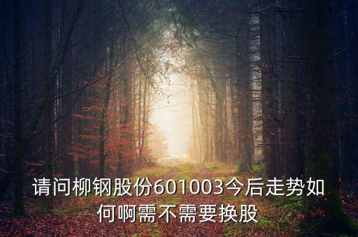請問柳鋼股份601003今后走勢如何啊需不需要換股