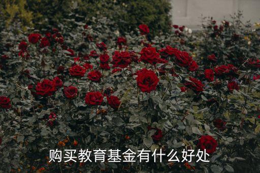 購買教育基金有什么好處