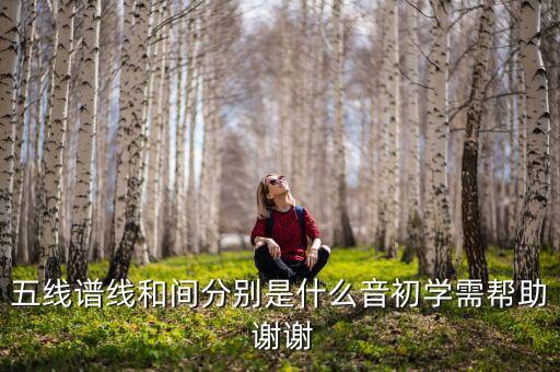 什么是花括線，花括號什么意思