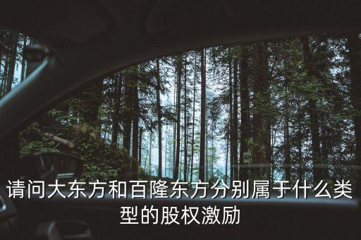 請(qǐng)問大東方和百隆東方分別屬于什么類型的股權(quán)激勵(lì)