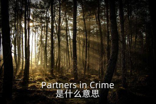 人工角膜是什么，Partners in Crime是什么意思