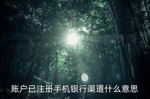 賬戶已注冊(cè)手機(jī)銀行渠道什么意思