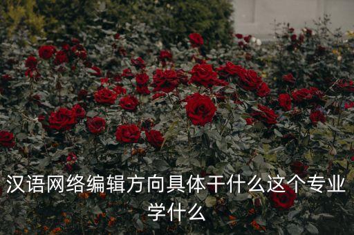漢語(yǔ)網(wǎng)絡(luò)編輯方向具體干什么這個(gè)專業(yè)學(xué)什么