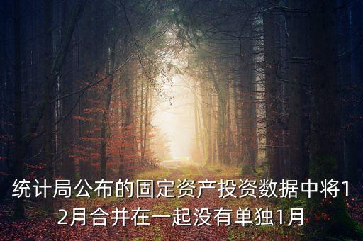 固定資產(chǎn)投資為什么沒(méi)有1月份數(shù)據(jù)怎么處理，上月購(gòu)進(jìn)一固定資產(chǎn)月初建賬時(shí)期初數(shù)據(jù)沒(méi)有將該固定資產(chǎn)錄入
