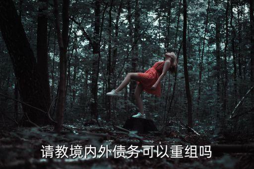 請教境內(nèi)外債務(wù)可以重組嗎