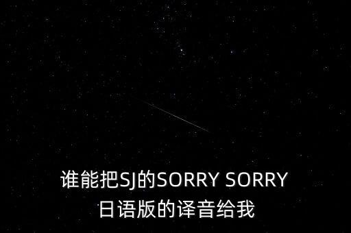 誰能把SJ的SORRY SORRY日語版的譯音給我