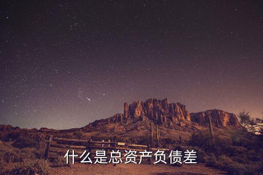 總資產(chǎn)負債差是什么數(shù)據(jù)，什么是總資產(chǎn)負債差