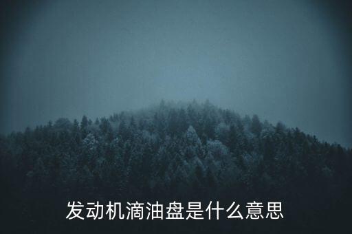 發(fā)動機滴油盤是什么意思