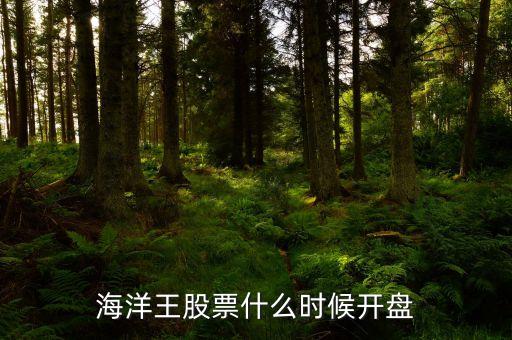 海洋王股票什么時(shí)候開(kāi)盤(pán)