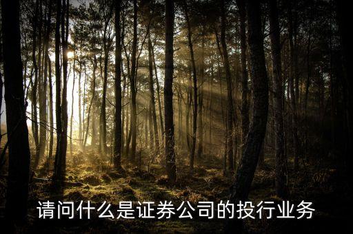 什么是類投行業(yè)務(wù)，請(qǐng)問什么是證券公司的投行業(yè)務(wù)