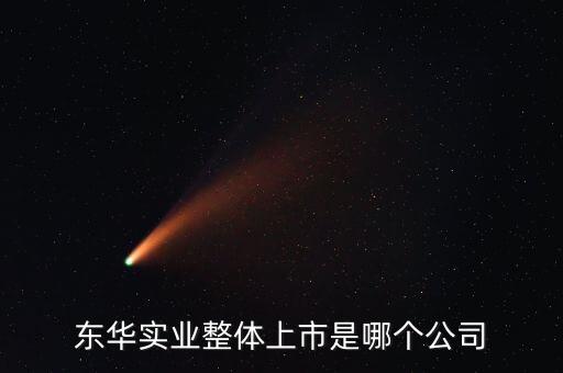 東華實(shí)業(yè)整體上市是哪個公司