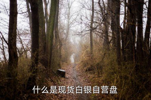 現(xiàn)貨盤是什么，國(guó)際盤現(xiàn)貨是什么意思