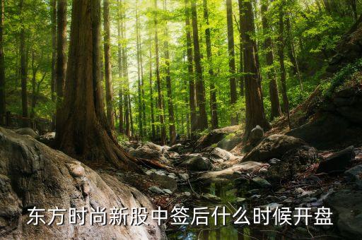浙江東方股票什么時(shí)候開(kāi)盤(pán)，東方申購(gòu)啥時(shí)候開(kāi)盤(pán)時(shí)間