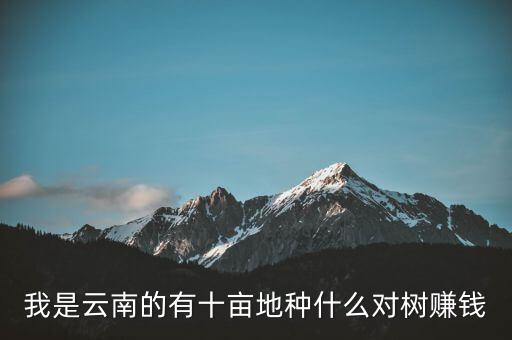 我是云南的有十畝地種什么對(duì)樹賺錢