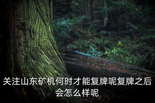 關(guān)注山東礦機何時才能復(fù)牌呢復(fù)牌之后會怎么樣呢