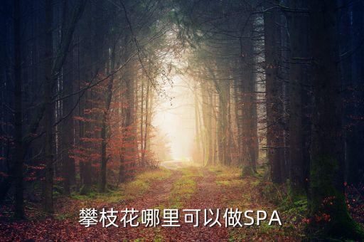 雅化集團攀枝花恒泰做什么的，攀枝花哪里可以做SPA