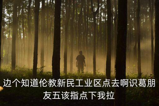 李葛衛(wèi)為什么入新民科技，邊個知道倫教新民工業(yè)區(qū)點去啊識葛朋友五該指點下我拉