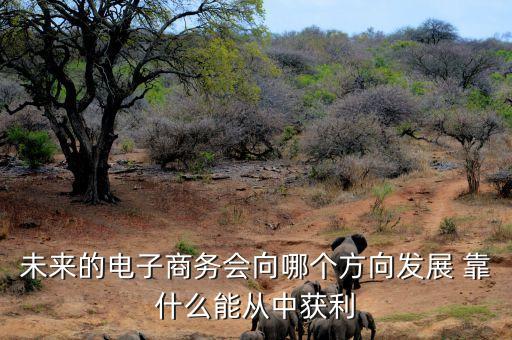 未來電商什么會掙錢，未來的電子商務(wù)會向哪個(gè)方向發(fā)展 靠什么能從中獲利