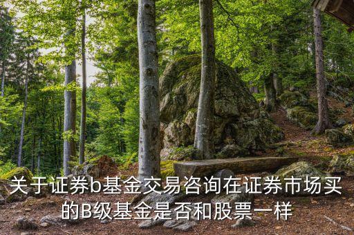 券商b級(jí)的具休條款是什么，券商a 券商A級(jí) 券商b級(jí) 關(guān)系