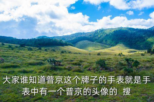 普京皮帶是什么牌子，大家誰知道普京這個牌子的手表就是手表中有一個普京的頭像的  搜