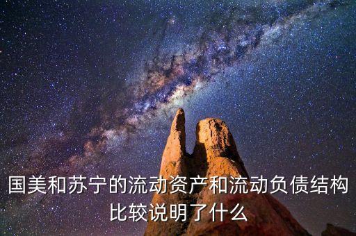 蘇寧資產的流動性為什么比較好，國美和蘇寧的流動資產和流動負債結構比較說明了什么