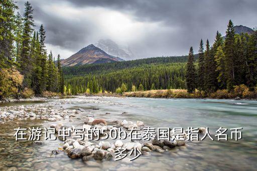 國金50b是什么，國金證券券商代碼是什么