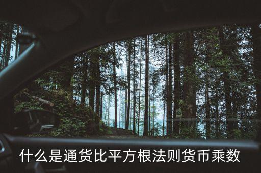 貨幣乘數(shù)是什么意思，貨幣乘數(shù)是什么書里的