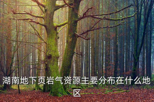 湖南地下頁(yè)巖氣資源主要分布在什么地區(qū)
