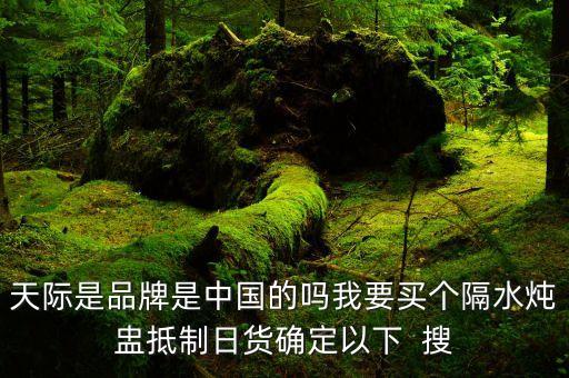 天際股份是什么公司，天際股份有限公司的普工待遇怎樣