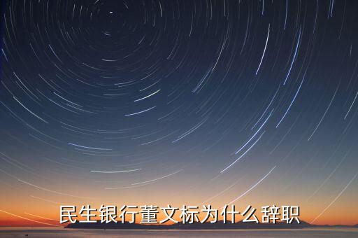 董文標(biāo)現(xiàn)在是什么職務(wù)，民生銀行董文標(biāo)為什么辭職