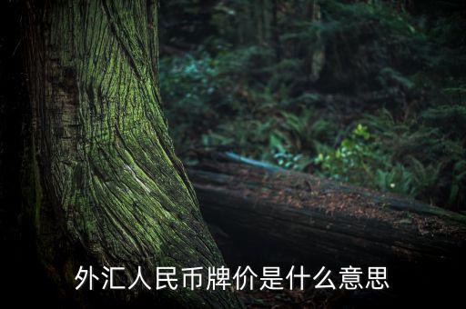 外幣兌換人民幣是什么，外幣兌換人民幣