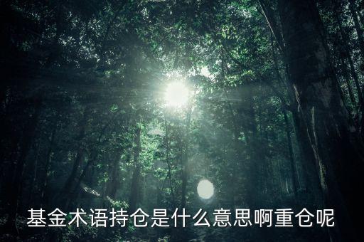 etf持倉(cāng)是什么意思，基金術(shù)語(yǔ)持倉(cāng)是什么意思啊重倉(cāng)呢
