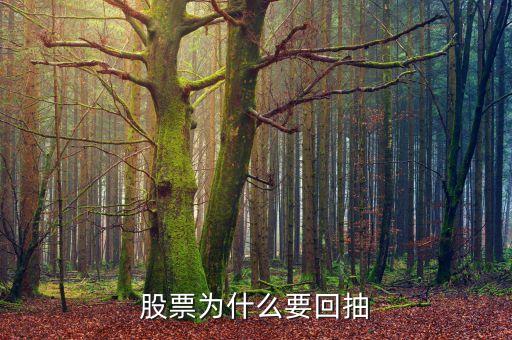為什么回抽確認，股價突破重要阻力位后為什么一般都要回抽確認