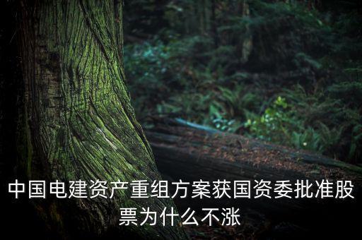 中國電建資產(chǎn)重組方案獲國資委批準(zhǔn)股票為什么不漲