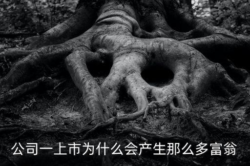 為什么公司上市就有錢，為什么公司上市就有錢
