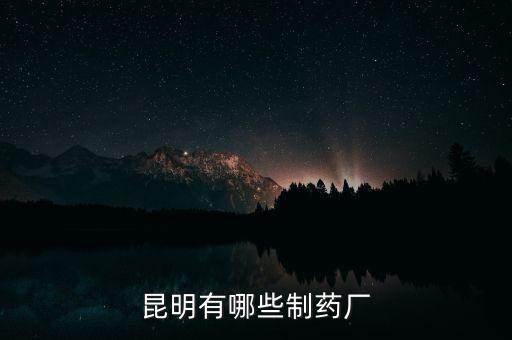 昆藥全資子公司都有什么，昆明有哪些制藥廠