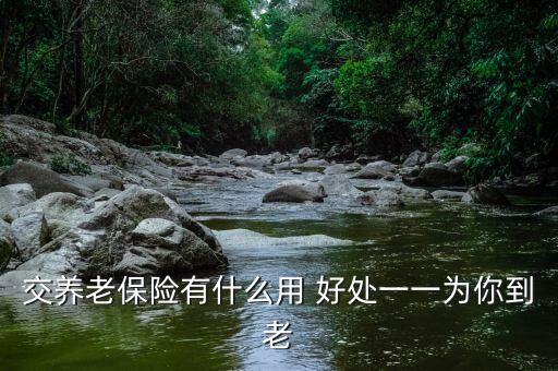 交養(yǎng)老保險(xiǎn)有什么用 好處一一為你到老