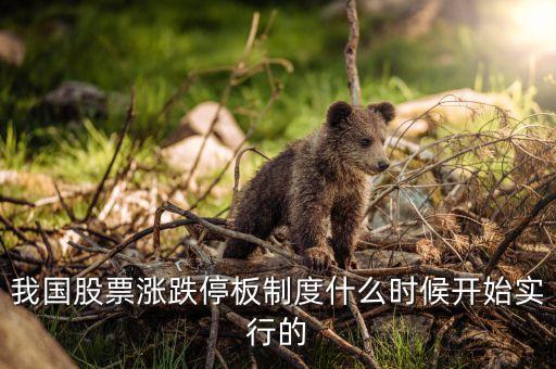 我國股票漲跌停板制度什么時候開始實行的