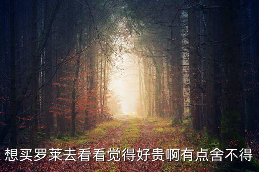 想買羅萊去看看覺得好貴啊有點舍不得
