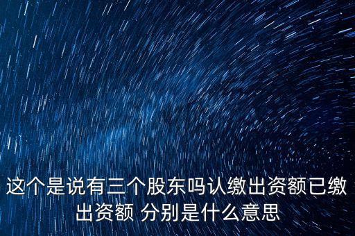 這個(gè)是說有三個(gè)股東嗎認(rèn)繳出資額已繳出資額 分別是什么意思