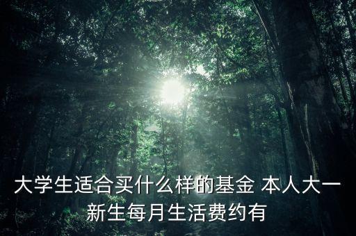 大學(xué)生買什么基金，大學(xué)生買什么樣的基金比較穩(wěn)妥