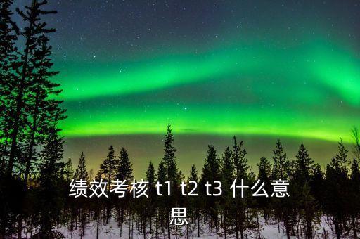 中興績(jī)效考核s1是什么，績(jī)效考核pl1是什么意思