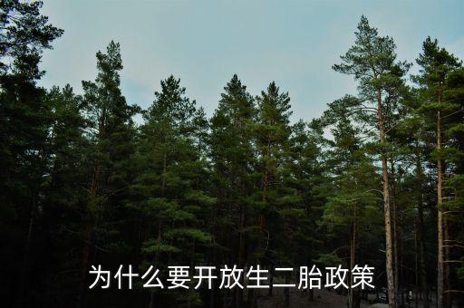 為什么要開放生二胎政策