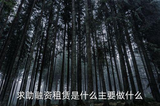 求助融資租賃是什么主要做什么