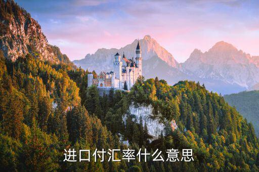 進(jìn)口付匯是什么意思，進(jìn)口付匯是什么