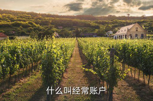 什么是經(jīng)常項(xiàng)目賬戶，經(jīng)常項(xiàng)目賬戶和資本項(xiàng)目賬戶
