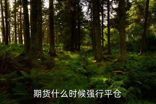 什么時(shí)候強(qiáng)行平倉(cāng)，現(xiàn)貨交易中什么時(shí)候會(huì)強(qiáng)制平倉(cāng)